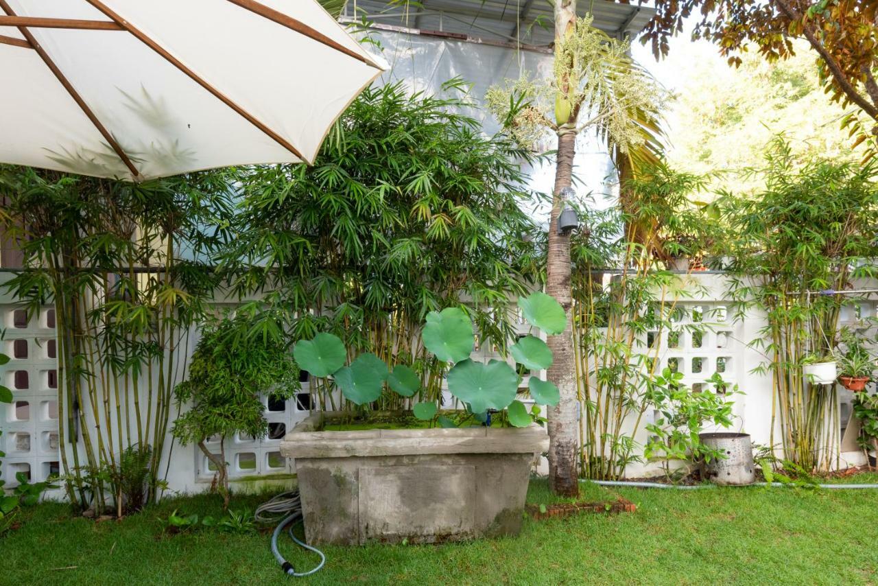 Rice Village Homestay Hoi An Bagian luar foto